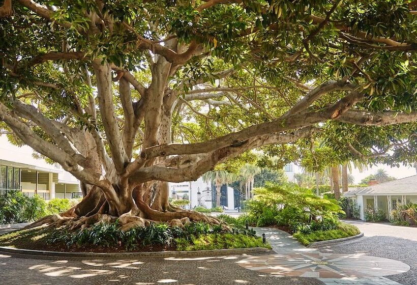 Fairmont Miramar Hotel & Bungalows