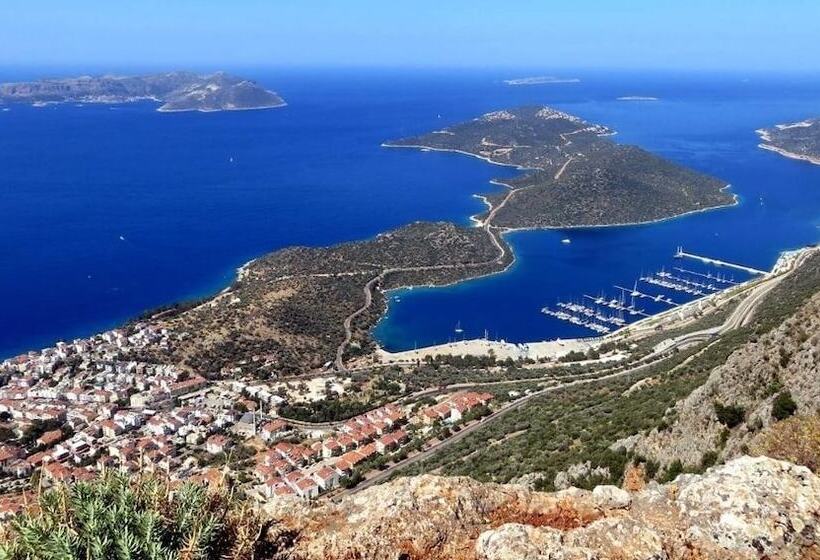 בית מלון כפרי Habesos