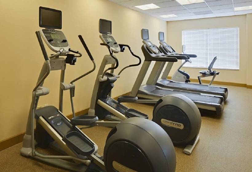 هتل Hilton Garden Inn Orlando International Drive North