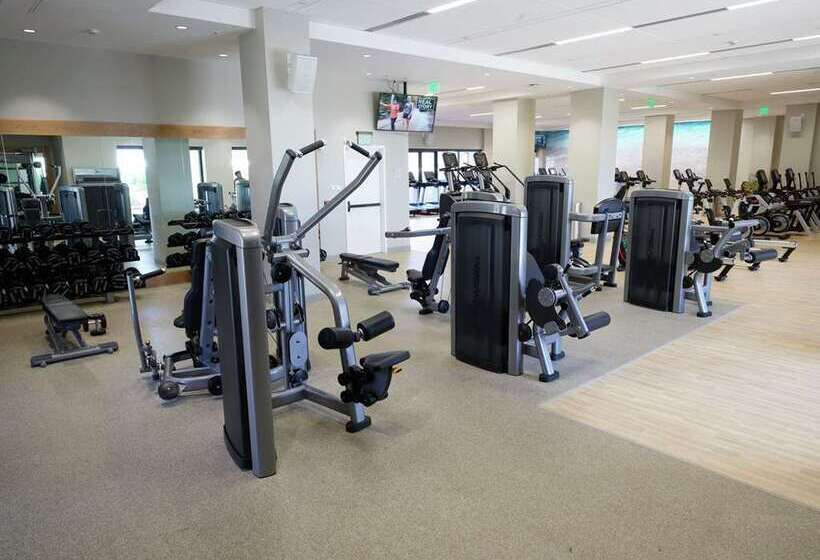 فندق Hilton Hawaiian Village Waikiki Beach Resort