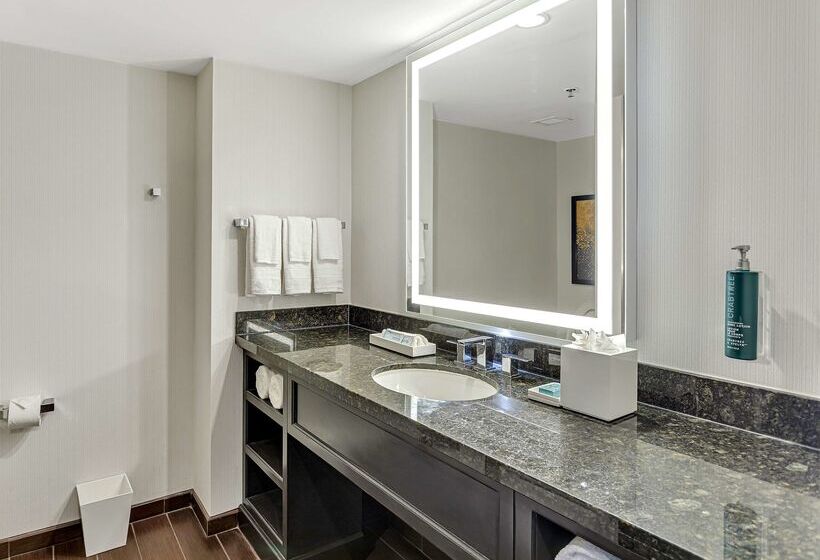 فندق Hilton Miami Downtown