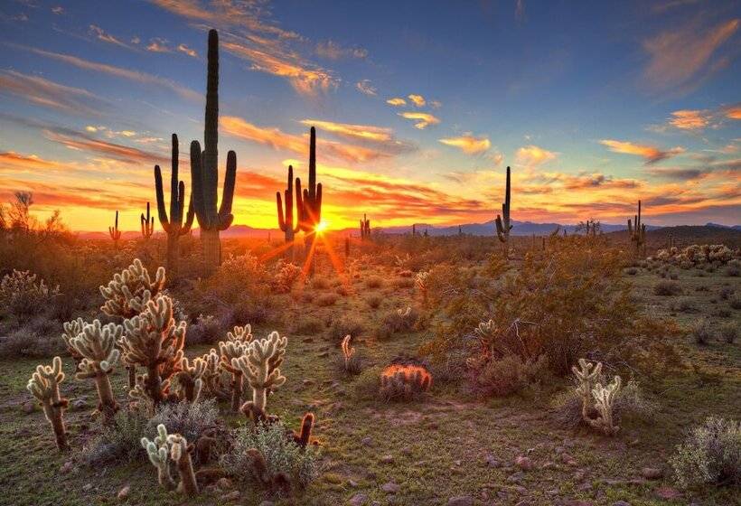 Holiday Inn Express Hotel & Suites Scottsdale   Old Town, An Ihg