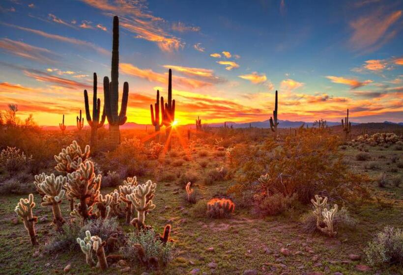 Holiday Inn Express Hotel & Suites Scottsdale   Old Town, An Ihg