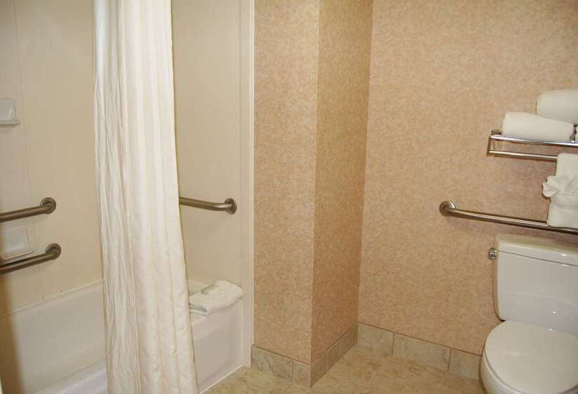 酒店 Homewood Suites By Hilton Orlando Int L Drive/convention Ctr