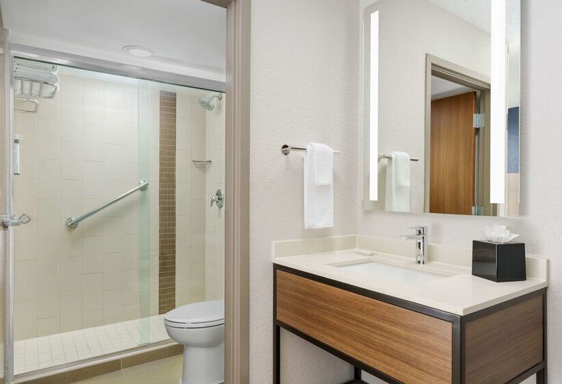 Отель Hyatt Place Orlando / I Drive / Convention Center