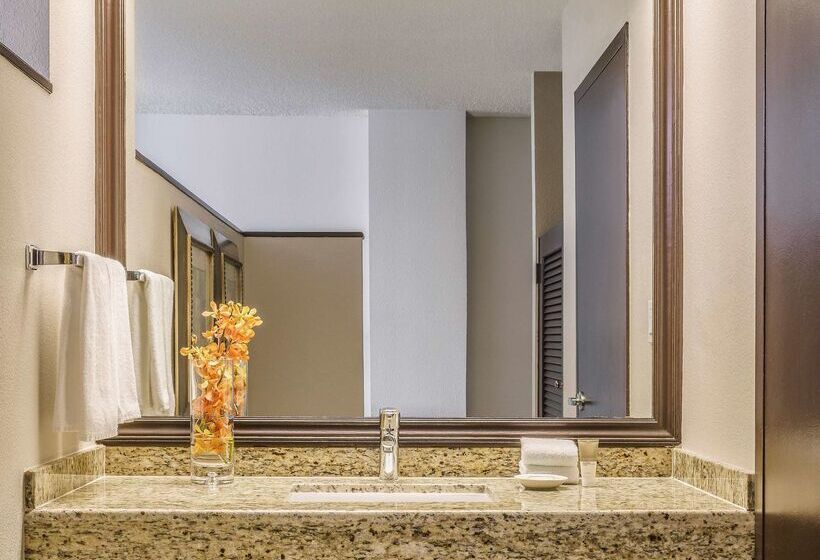 בית מלון כפרי Hyatt Regency Miami