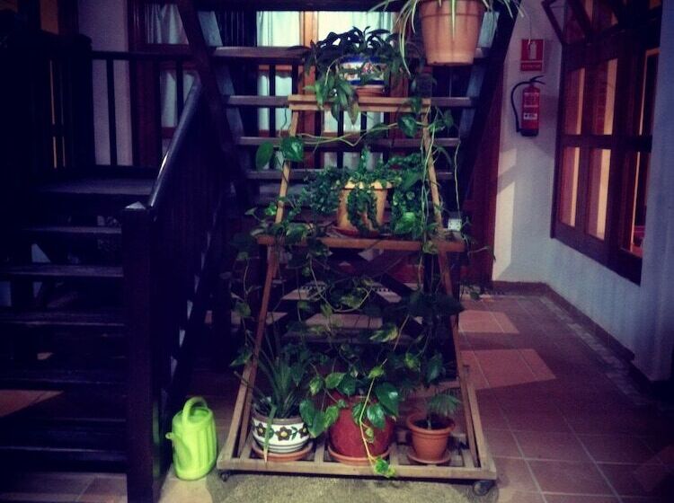 Отель La Casita Di Fuerte