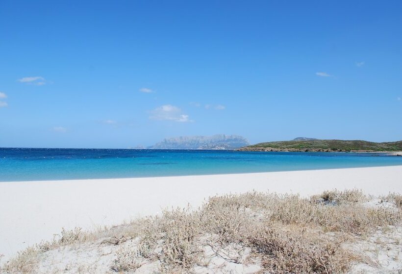 酒店 Luna Lughente