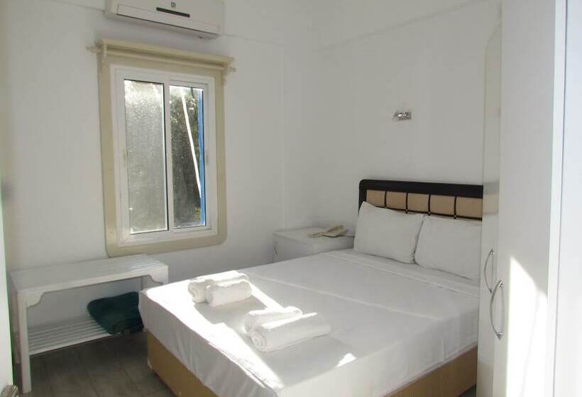 בית מלון כפרי Ministar