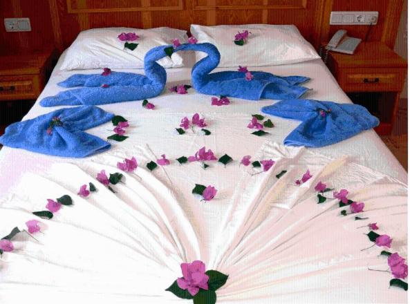 בית מלון כפרי Nar Apart