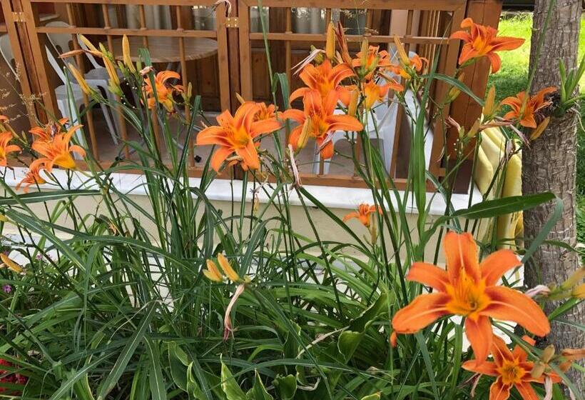 בית מלון כפרי Nar Apart