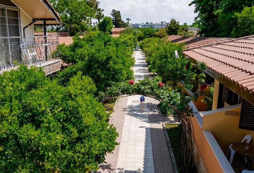 فندق Ozlem Garden