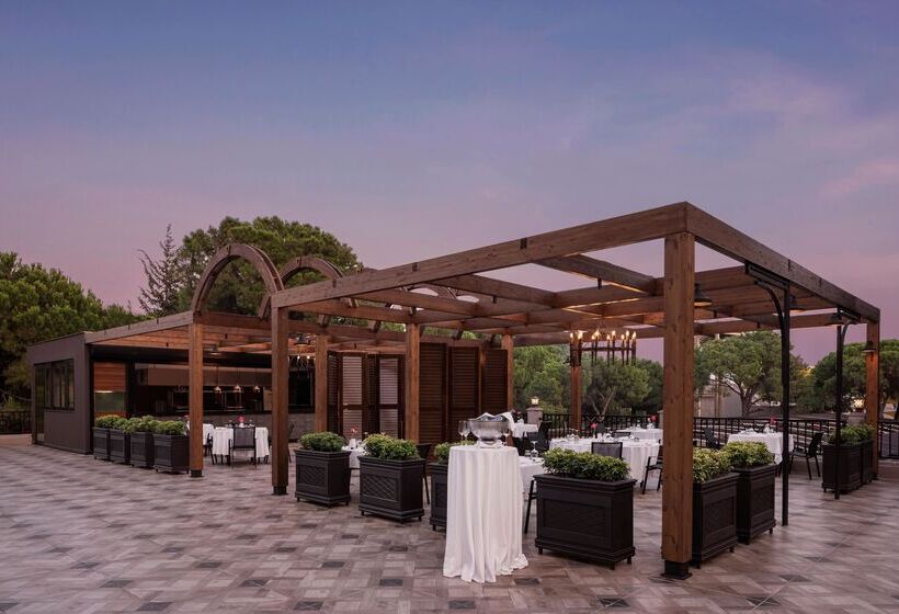 Отель Papillon Ayscha Resort & Spa