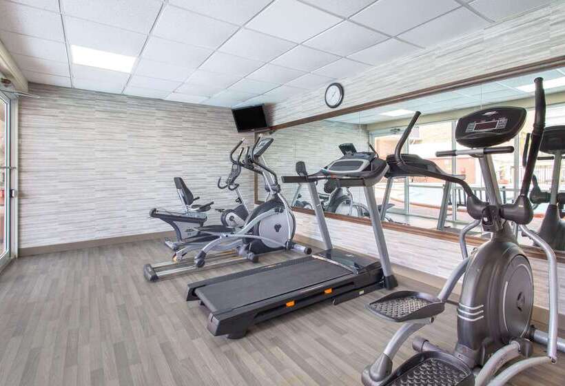 בית מלון כפרי Ramada By Wyndham Tampa Westshore Airport South