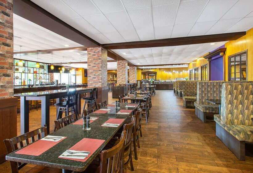 בית מלון כפרי Ramada By Wyndham Tampa Westshore Airport South