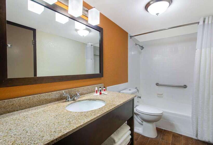 בית מלון כפרי Ramada By Wyndham Tampa Westshore Airport South