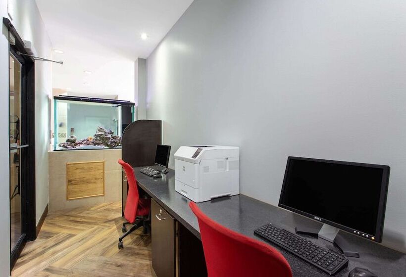 בית מלון כפרי Ramada By Wyndham Tampa Westshore Airport South