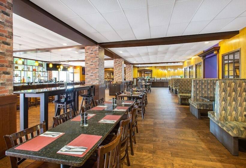 בית מלון כפרי Ramada By Wyndham Tampa Westshore Airport South