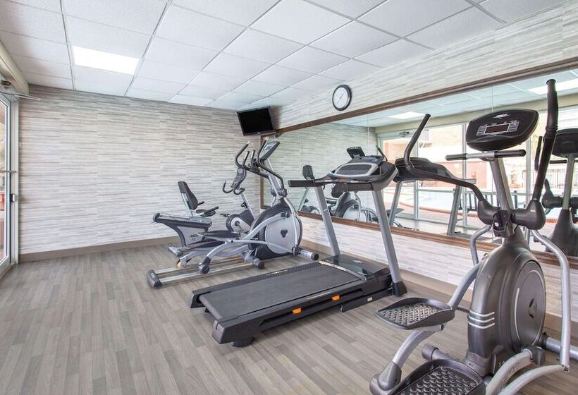 בית מלון כפרי Ramada By Wyndham Tampa Westshore Airport South