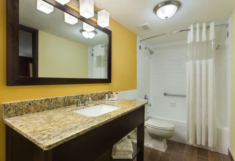 בית מלון כפרי Ramada By Wyndham Tampa Westshore Airport South