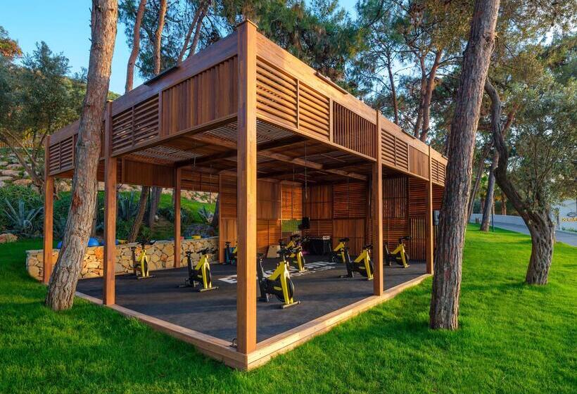 בית מלון כפרי Rixos Premium Bodrum