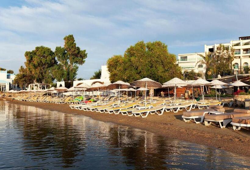 فندق Royal Asarlik Beach