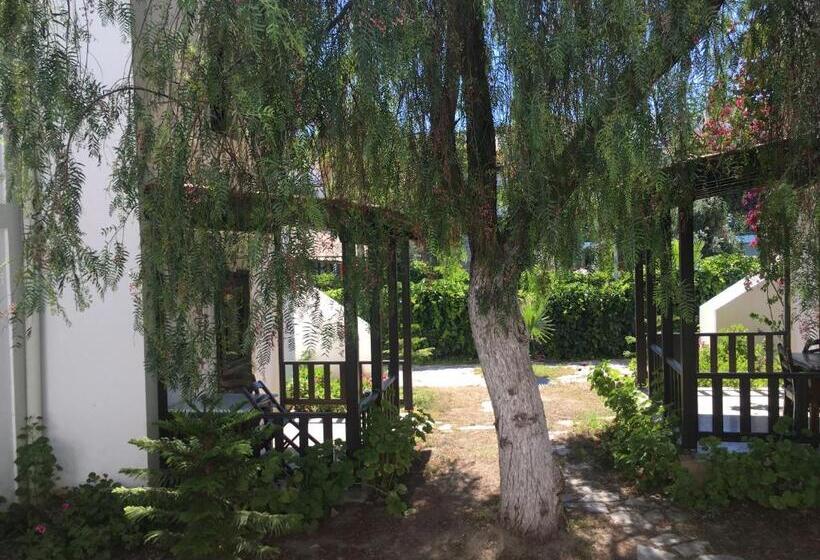 Salinas Beach Hotel Bodrum Boutique Concept