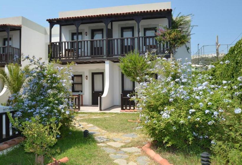 Salinas Beach Hotel Bodrum Boutique Concept