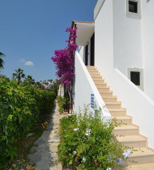 Salinas Beach Hotel Bodrum Boutique Concept