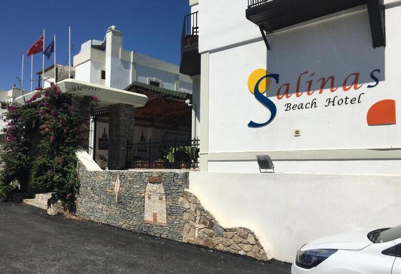 Salinas Beach Hotel Bodrum Boutique Concept