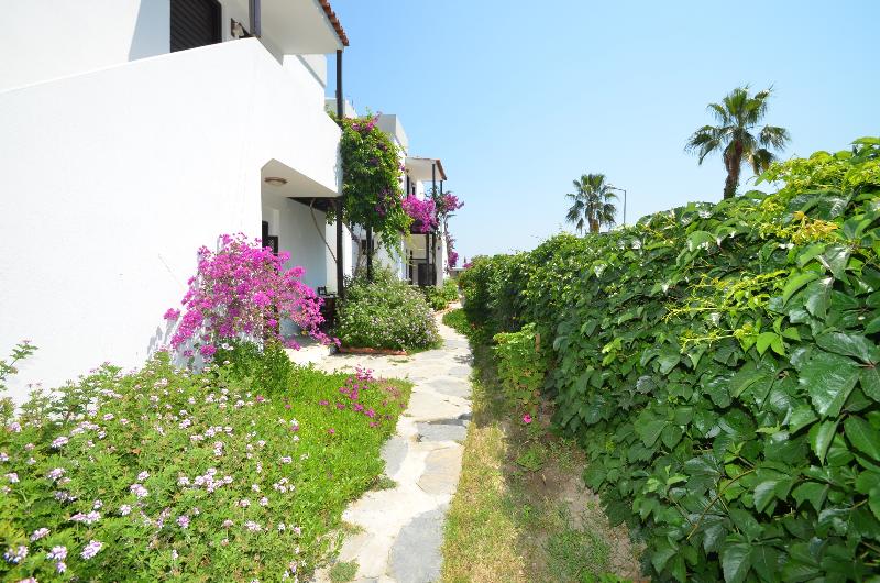 Salinas Beach Hotel Bodrum Boutique Concept