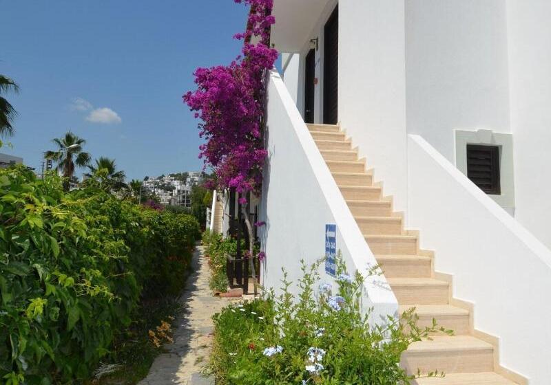 Salinas Beach Hotel Bodrum Boutique Concept