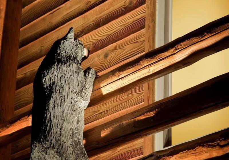 فندق The Lodge At Jackson Hole