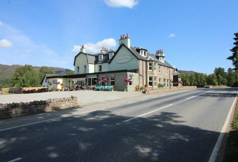 酒店 The Rowan Tree Country