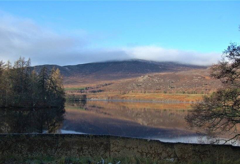 酒店 The Rowan Tree Country