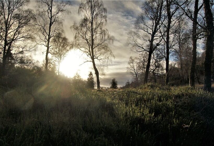 酒店 The Rowan Tree Country