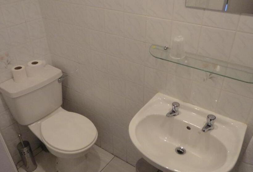 בית מלון כפרי Sandyford Lodge