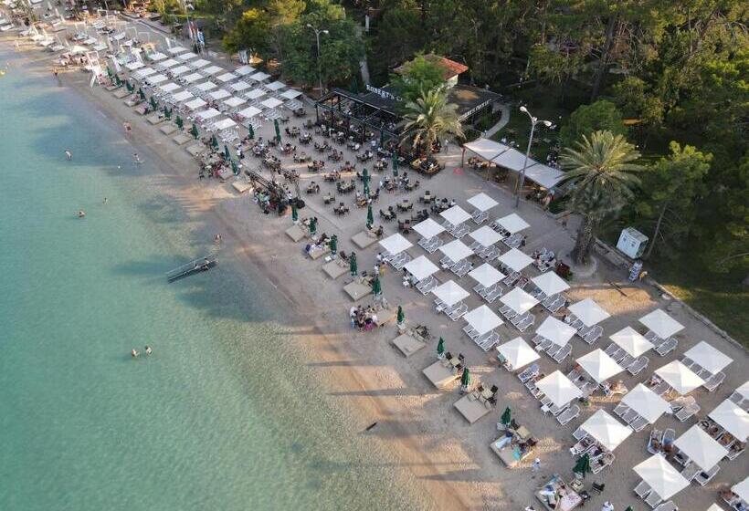 Meder Resort Hotel   Ultra All Inclusive