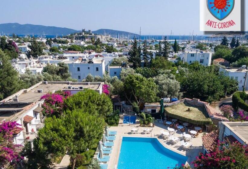 Moonshine Hotel & Suites