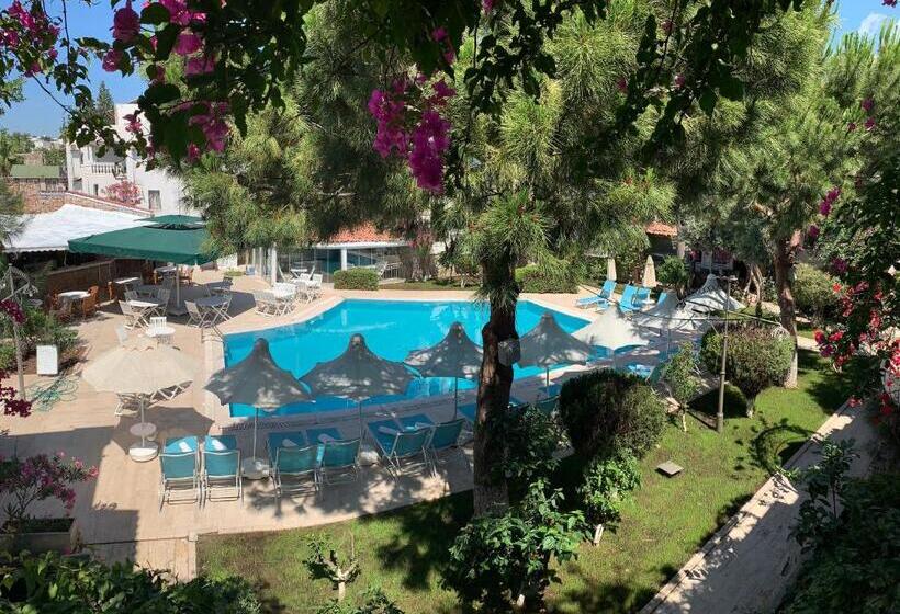 Moonshine Hotel & Suites