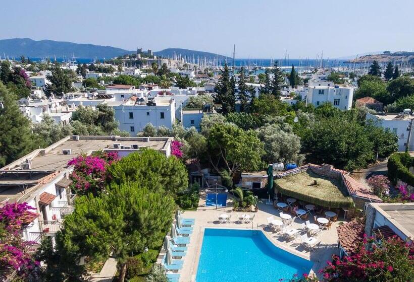 Moonshine Hotel & Suites