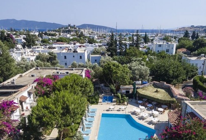 Moonshine Hotel & Suites