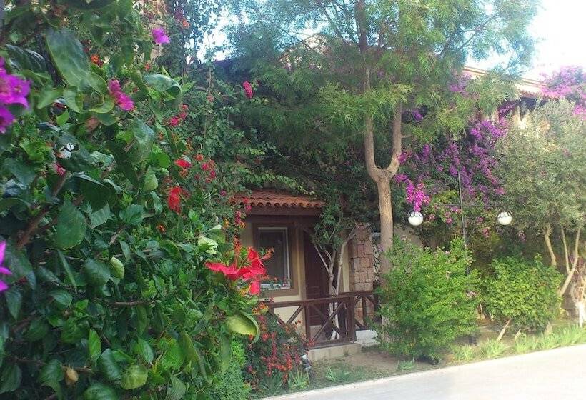 Moonshine Hotel & Suites