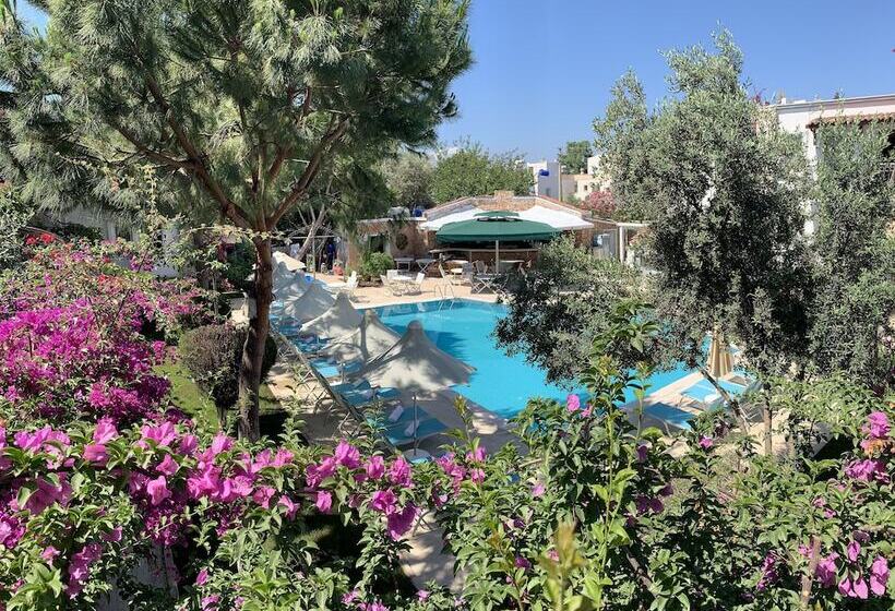 Moonshine Hotel & Suites