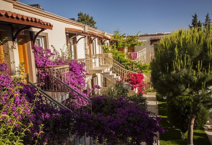 Moonshine Hotel & Suites