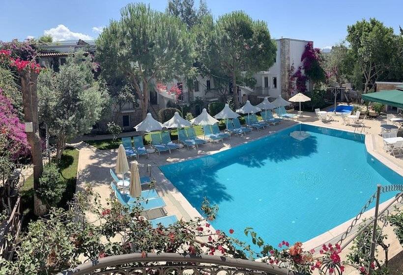 Moonshine Hotel & Suites