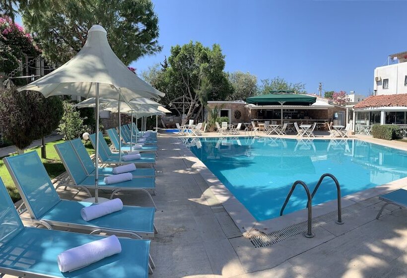 Moonshine Hotel & Suites