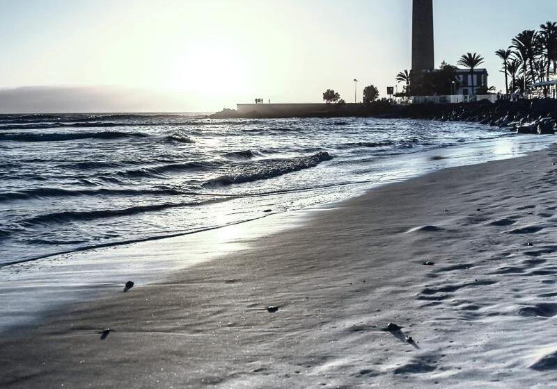 Tc Apartamentos Dorotea