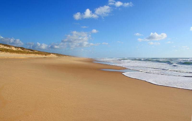 Tc Apartamentos Dorotea