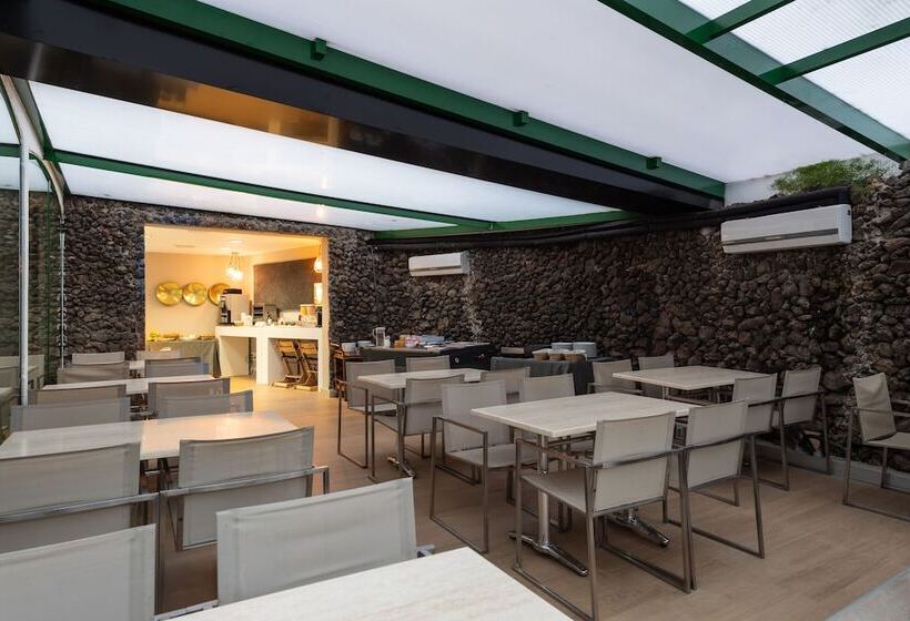 Tc Apartamentos Dorotea